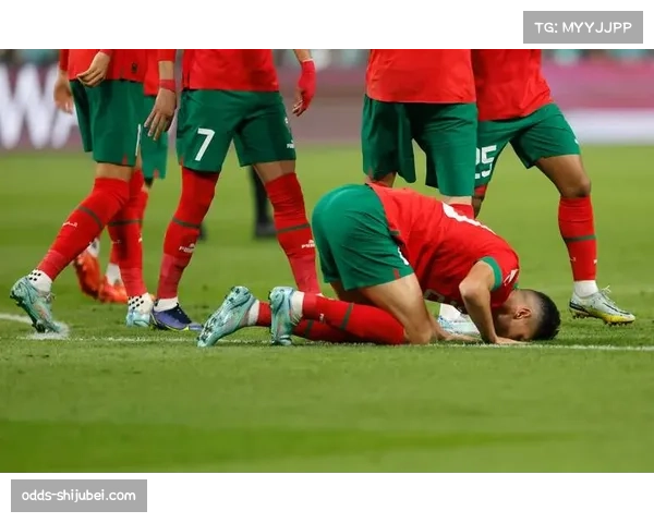 非洲球队身体优势 世界杯赛场或成黑马